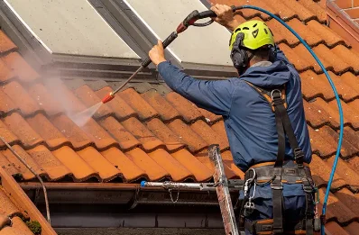 Démoussage et hydrofuge de toiture à Vanosc